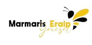 whatsapp image 2026 02 17 at 10.23.23 removebg preview (1)